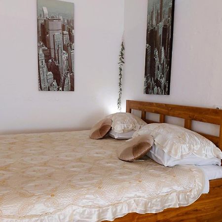 Exkluzivni Apartman V Prizemi V Hradci Kralove Hradec Králové Екстериор снимка