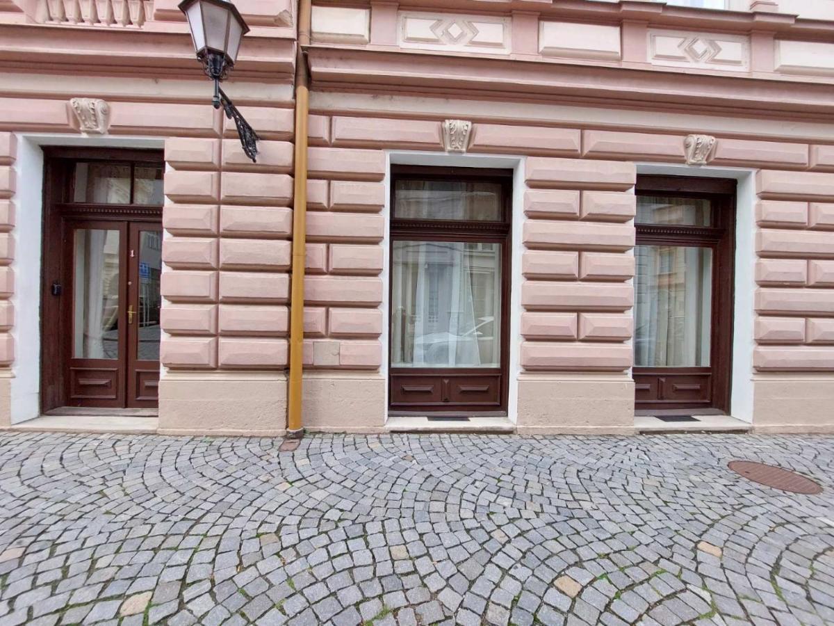 Exkluzivni Apartman V Prizemi V Hradci Kralove Hradec Králové Екстериор снимка